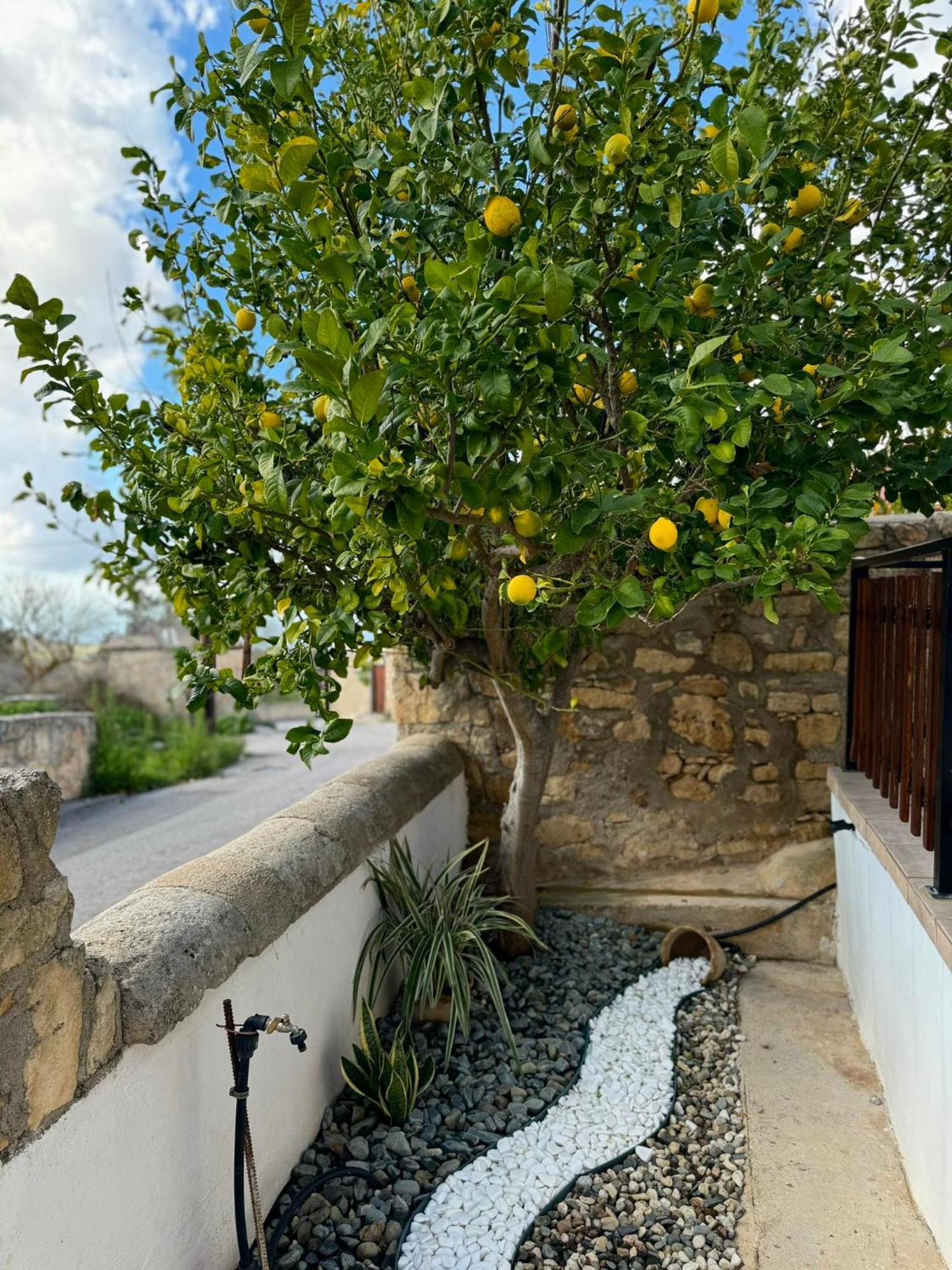 فيلا Pano Arodesفي Mariarodes House المظهر الخارجي الصورة